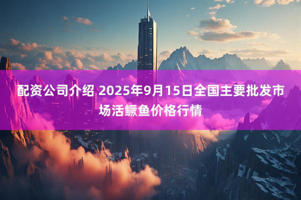 配资公司介绍 2025年9月15日全国主要批发市场活鳜鱼价格行情