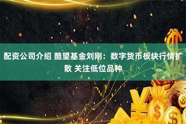 配资公司介绍 酷望基金刘刚：数字货币板块行情扩散 关注低位品种